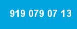 919 079 07 13